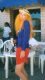 Agent Orange at the Parade of Virgins, Olinda Carnival 1997